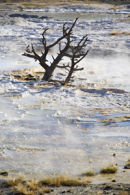 THERMAL SPRING